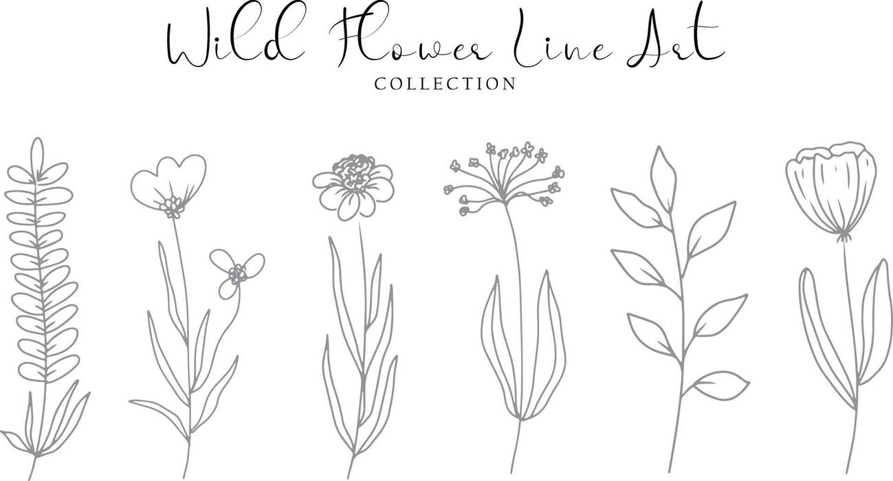 Wildflower Line Art Vector Art, Icons, and Graphics for Free Download