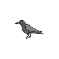 crow colored vector icon