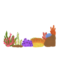 coral recife composição png