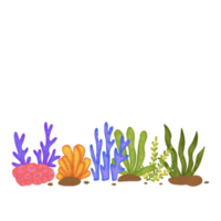 coral arrecife composición png