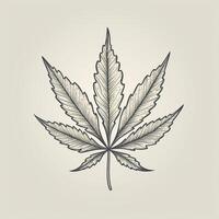 Marijuana leaf. Hand drawn design element cannabis. Vintage black vector engraving illustration for label, poster, web. . photo