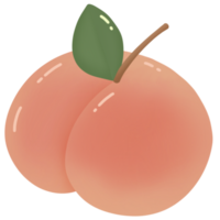 suculento doce peachy png