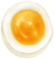 bollito uovo acquerello illustrazione png