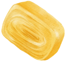 Oeuf Rouleaux aquarelle png