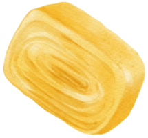 uovo rotoli acquerello png