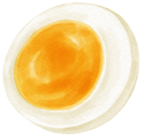 hervido huevo acuarela ilustración png