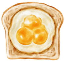 Fried eggs toast watercolor png