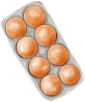 Eggs on panel watercolor png