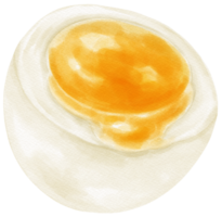 kokt ägg vattenfärg illustration png