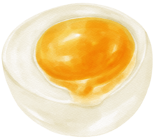 kokt ägg vattenfärg illustration png