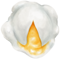 Poached egg watercolor png