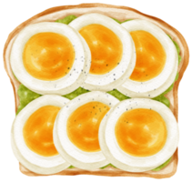 Pesto eggs toast watercolor png