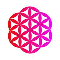 Pink and red flower of life pattern logo vector
