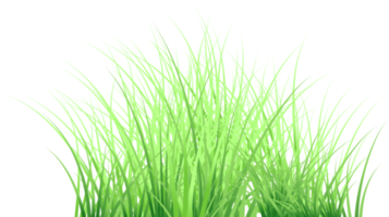 sfondo trasparente di erba png