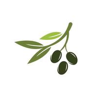 olive icon vector illustration