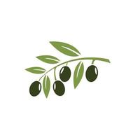 olive icon vector illustration