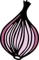 Onion drawing isolated vector