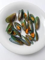 Green Mussel on a plate on a white background, Fresh New Zealand Mussel or Perna Canaliculus on a White Background. isolated green mussels. photo