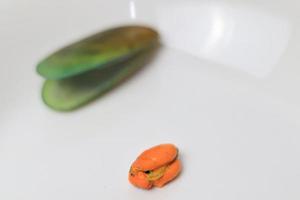 Green Mussel on a plate on a white background, Fresh New Zealand Mussel or Perna Canaliculus on a White Background. isolated green mussels. photo