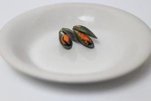 verde mejillón en un plato en un blanco fondo, Fresco nuevo Zelanda mejillón o perna canalículo en un blanco antecedentes. aislado verde mejillones. foto