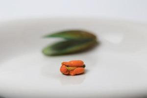 Green Mussel on a plate on a white background, Fresh New Zealand Mussel or Perna Canaliculus on a White Background. isolated green mussels. photo