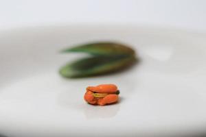 verde mejillón en un plato en un blanco fondo, Fresco nuevo Zelanda mejillón o perna canalículo en un blanco antecedentes. aislado verde mejillones. foto