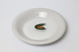 verde mejillón en un plato en un blanco fondo, Fresco nuevo Zelanda mejillón o perna canalículo en un blanco antecedentes. aislado verde mejillones. foto