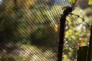 Fence mesh. Countryside. Fence details. photo