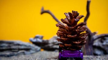 toy car hauling pinecones on an orange background photo