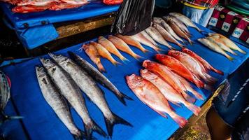 minahasa, Indonesia enero 2023, crudo pescado en el tondano tradicional mercado foto