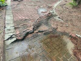 dilapidated or broken red brick path or trail photo