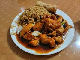 Chinese fried rice and egg roll and chicken on plate photo