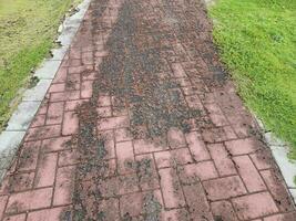 dilapidated or broken red brick path or trail photo