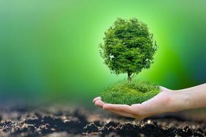 Renewable energy concept Earth Day or environment protection Hands protect forests that grow on the ground and help save the world. photo