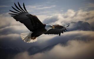 Bald eagle soaring in the sky with wings spread wide. The background is mountain. photo