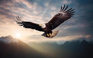 Bald eagle soaring in the sky with wings spread wide. The background is cloud. photo