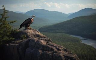 calvo águila encaramado un parte superior rocoso acantilado con montaña antecedentes. generativo ai foto