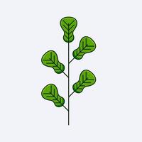 fresh green leaf design vector