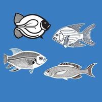 Beautiful  Fish Line Art Vector