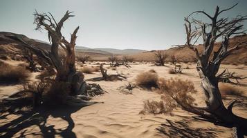 muerto arboles en el namib desierto, Namibia, África foto