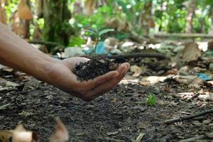 Green plants start growing from seed in organic soil in farmer's hands photo