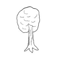 Doodle line drawing of tree on white background. Vector illustration. Earth day and ecology concept