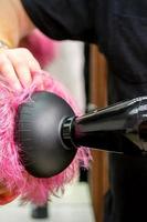 Hairdresser drying pink hair of client photo