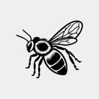 miel abeja mano dibujado vector Clásico estilo ilustraciones.