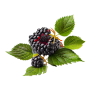 Blackberry cut out png, Blackberry on transparent background png