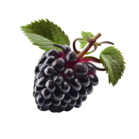 Blackberry cut out png, Blackberry on transparent background png