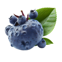 Blaubeere Schnitt aus png, Blaubeere auf transparent Hintergrund png