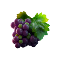 Bunch of grapes on png transparent background