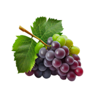 bouquet de les raisins sur png transparent Contexte