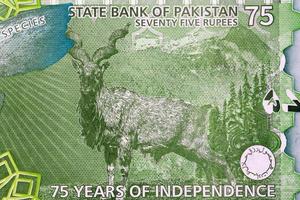 Markhor goat with landscape behind - from Pakistani money photo